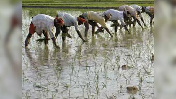 Food Security Bill needs amendments: Swaminathan