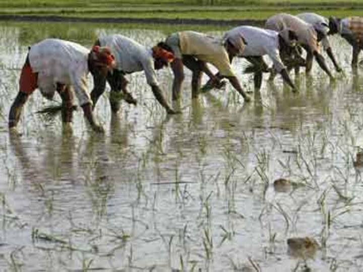 Food Security Bill needs amendments: Swaminathan