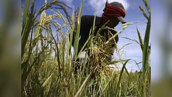 World lacks enough food, fuel as population soars: UN