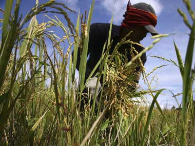 World lacks enough food, fuel as population soars: UN World lacks enough food, fuel as population soars: UN