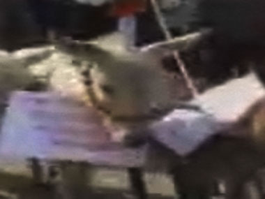 Donkeys to tongas: Poll tools for Uttar Pradesh candidates Donkeys to tongas: Poll tools for Uttar Pradesh candidates