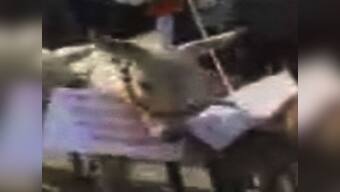 Donkeys to tongas: Poll tools for Uttar Pradesh candidates