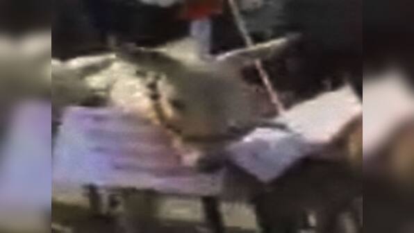 Donkeys to tongas: Poll tools for Uttar Pradesh candidates