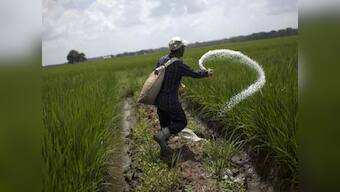 Fertiliser folly: How to benefit foreigners and shoot ourselves