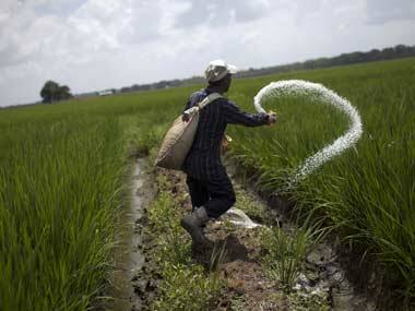 Fertiliser folly: How to benefit foreigners and shoot ourselves