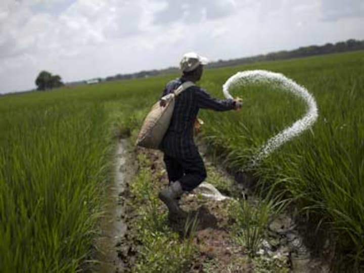 Fertiliser folly: How to benefit foreigners and shoot ourselves