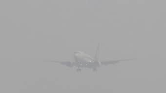 Fog plays havoc with air and rail traffic