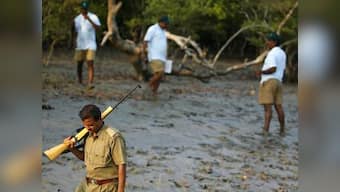 Forest deputy ranger killed, three injured in timber thieves raid