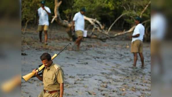Forest deputy ranger killed, three injured in timber thieves raid