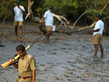 Forest deputy ranger killed, three injured in timber thieves raid Forest deputy ranger killed, three injured in timber thieves raid
