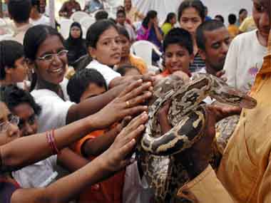 Nag Panchami not just about snake worship, but subjecting the object of veneration to needless agony, death Nag Panchami not just about snake worship, but subjecting the object of veneration to needless agony, death