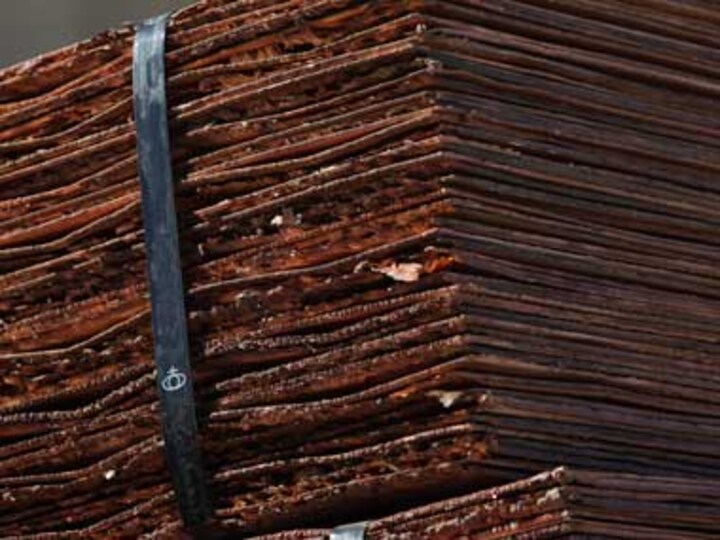 If it isn't copper-bottomed, can stock rally be for real?
