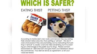 McDonalds pulls ad after dog owners protest 