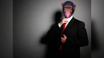 Competition ahoy: Monkey 1, Sensex in neck-and-neck race