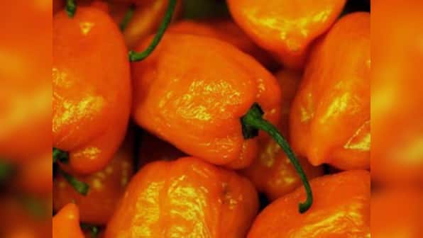 Naga Chilli Vodka: The real hot shot