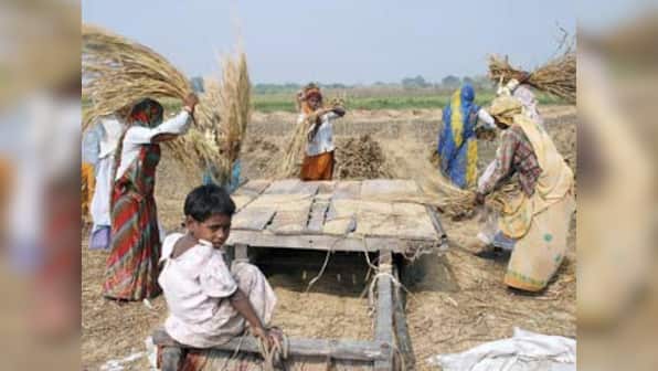 Grain procurement: How will Narendra Modi government handle this scam?