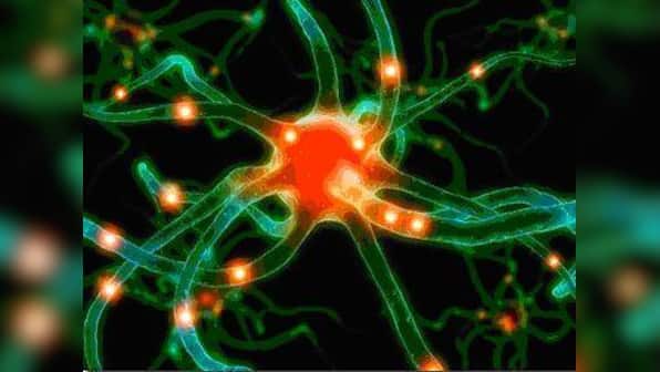 2012: The Year Of Intelligent Business Operations