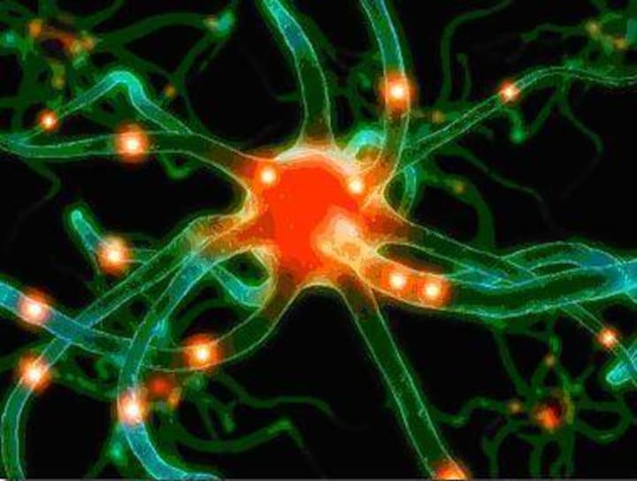 2012: The Year Of Intelligent Business Operations