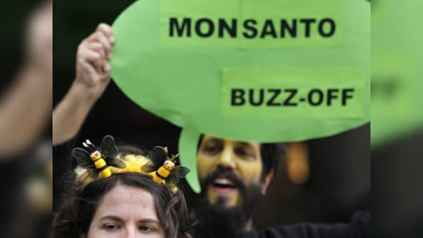 Anti-GM body claims Monsanto defied norms in GM maize trials