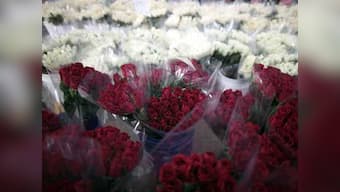 Five great Valentine 'loser' songs