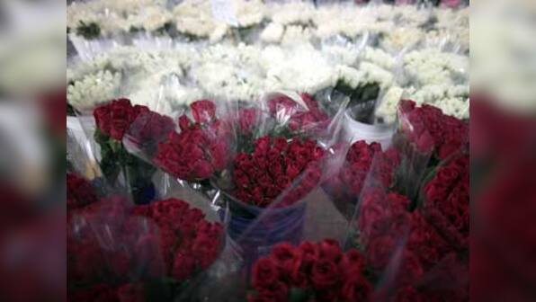 Five great Valentine 'loser' songs