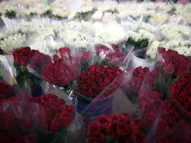 Five great Valentine 'loser' songs Five great Valentine 'loser' songs