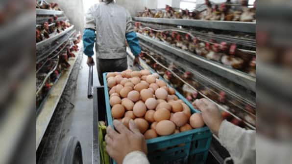 China's answer to heat stroke: Urine-soaked eggs 