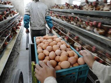 Eggs are injected with antibiotics, hormones, dyes, tranquilizers, making it unhealthy for consumption