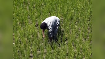 Jain Irrigation Q3 net loss at Rs 40 crore