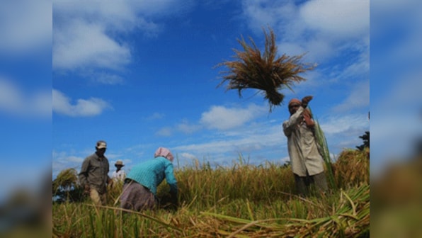 World Bank approves funding for India's agricultural project
