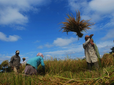 World Bank approves funding for India's agricultural project World Bank approves funding for India's agricultural project