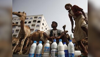Gujarat to have first camel milk dairy soon