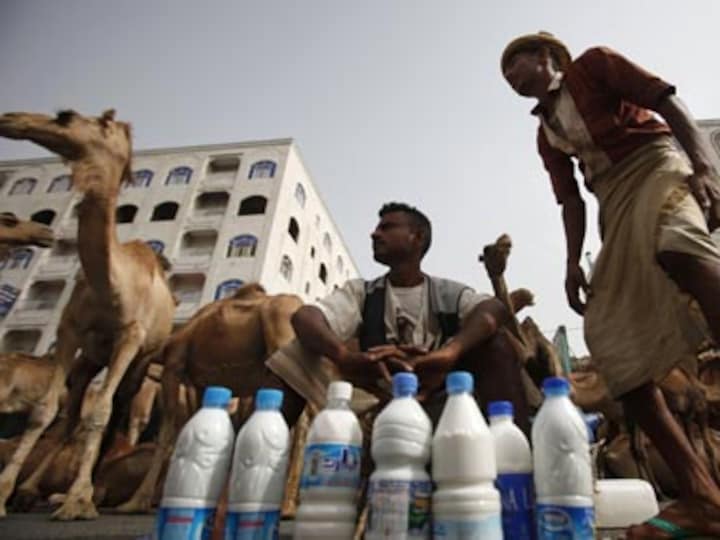 Gujarat to have first camel milk dairy soon