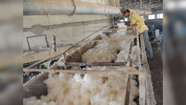 Shock cotton exports ban hurts India's image, sends prices surging
