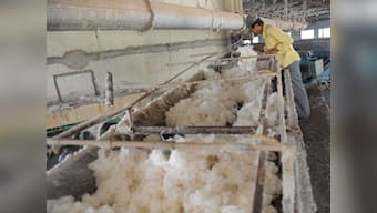 Global cotton prices calm down on Pawar play, Indian export hopes 