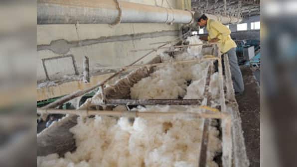 Global cotton prices calm down on Pawar play, Indian export hopes 