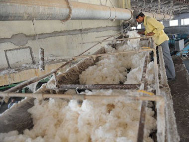Global cotton prices calm down on Pawar play, Indian export hopes Global cotton prices calm down on Pawar play, Indian export hopes