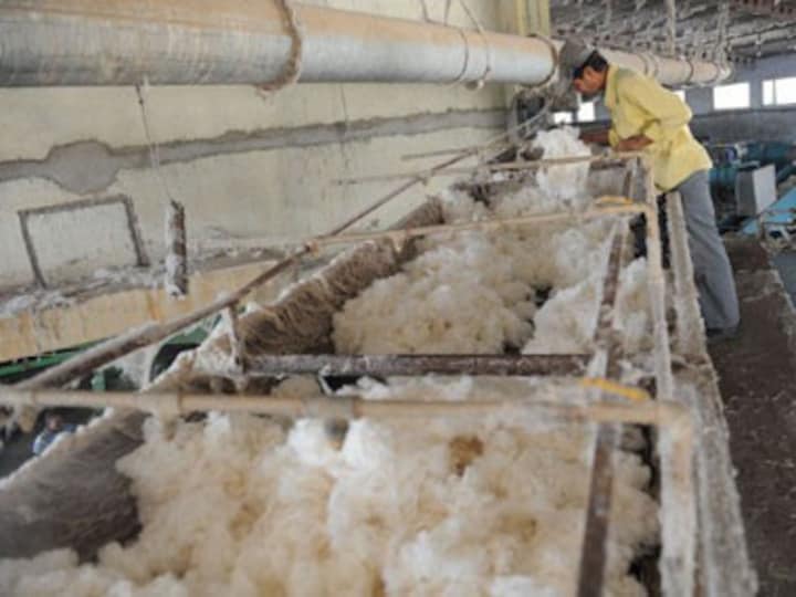 Global cotton prices calm down on Pawar play, Indian export hopes 
