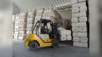 Cotton prices drop as India allows exports, registrations