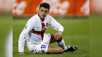 Cows laze on grounds meant for Crespo, Pires and PLS