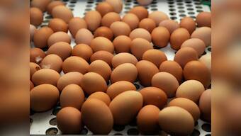 Book Excerpt: They eat meat! The pursuit of an illicit egg in Gujarat