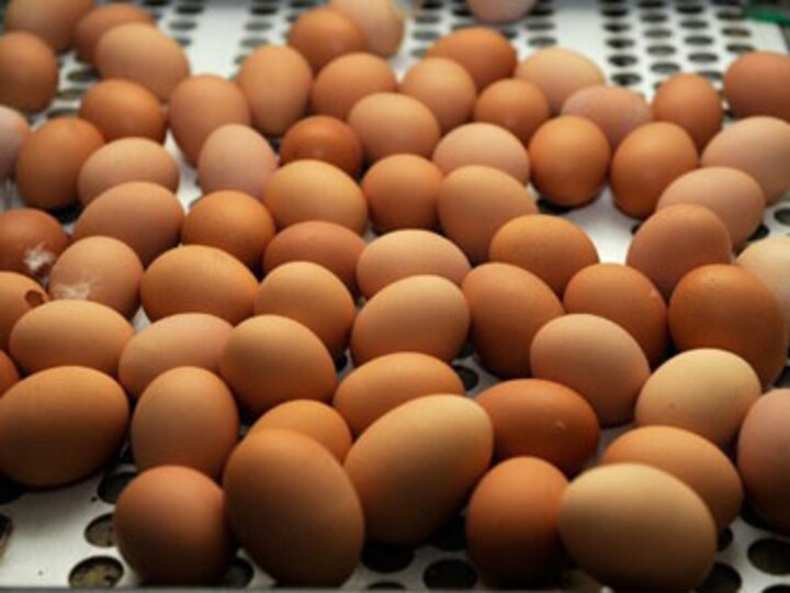 Book Excerpt: They eat meat! The pursuit of an illicit egg in Gujarat