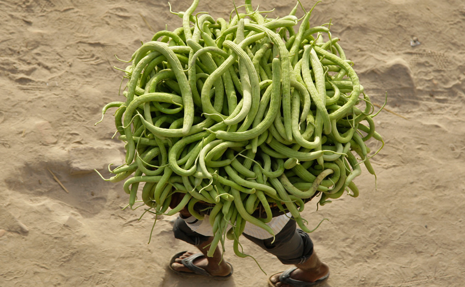 Apple Watch: Online excitement replaces long queues outside stores Apple Watch: Online excitement replaces long queues outside stores