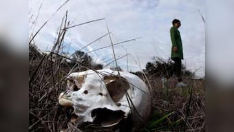 Remains of 167 people found in Mexican cave