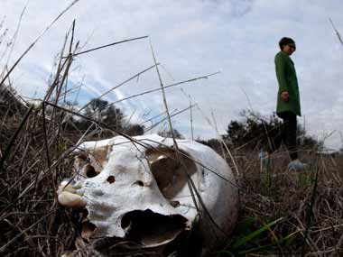 Remains of 167 people found in Mexican cave Remains of 167 people found in Mexican cave
