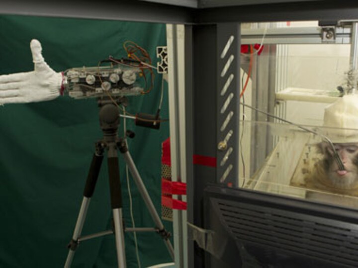 Super-human brain technology sparks ethics debate