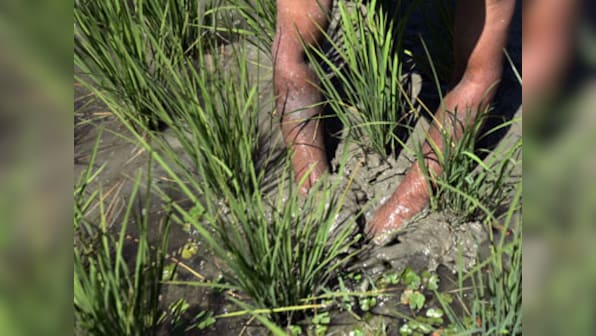 NREGA lifted consumption, not productivity: Crisil