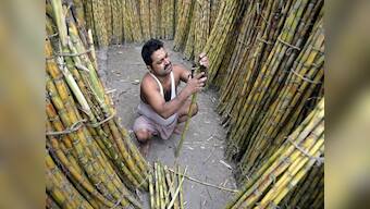 Sugar stocks rise as SP leads in UP elections