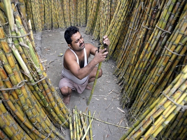 Sugar stocks rise as SP leads in UP elections Sugar stocks rise as SP leads in UP elections