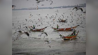 Controversial Bird flu studies to be published